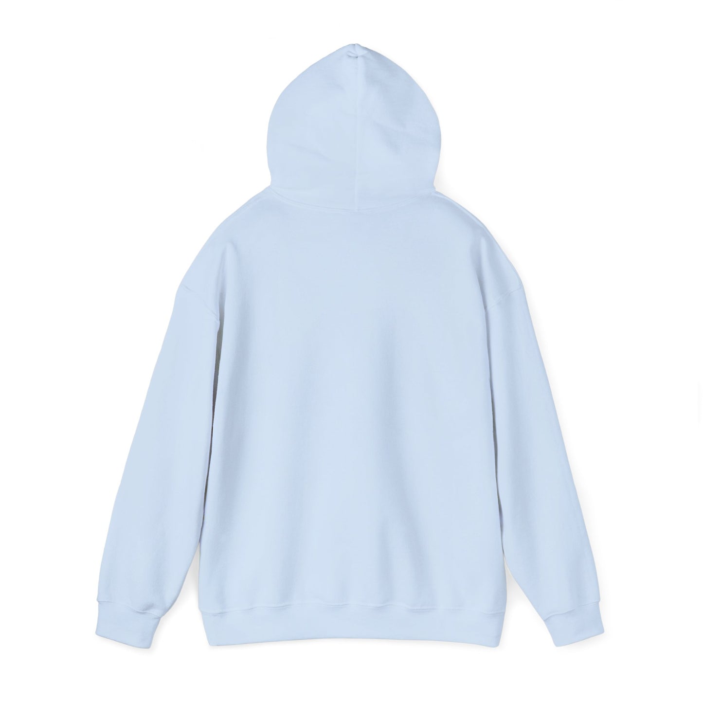 Nature's Healer Mountain Air Hoodie