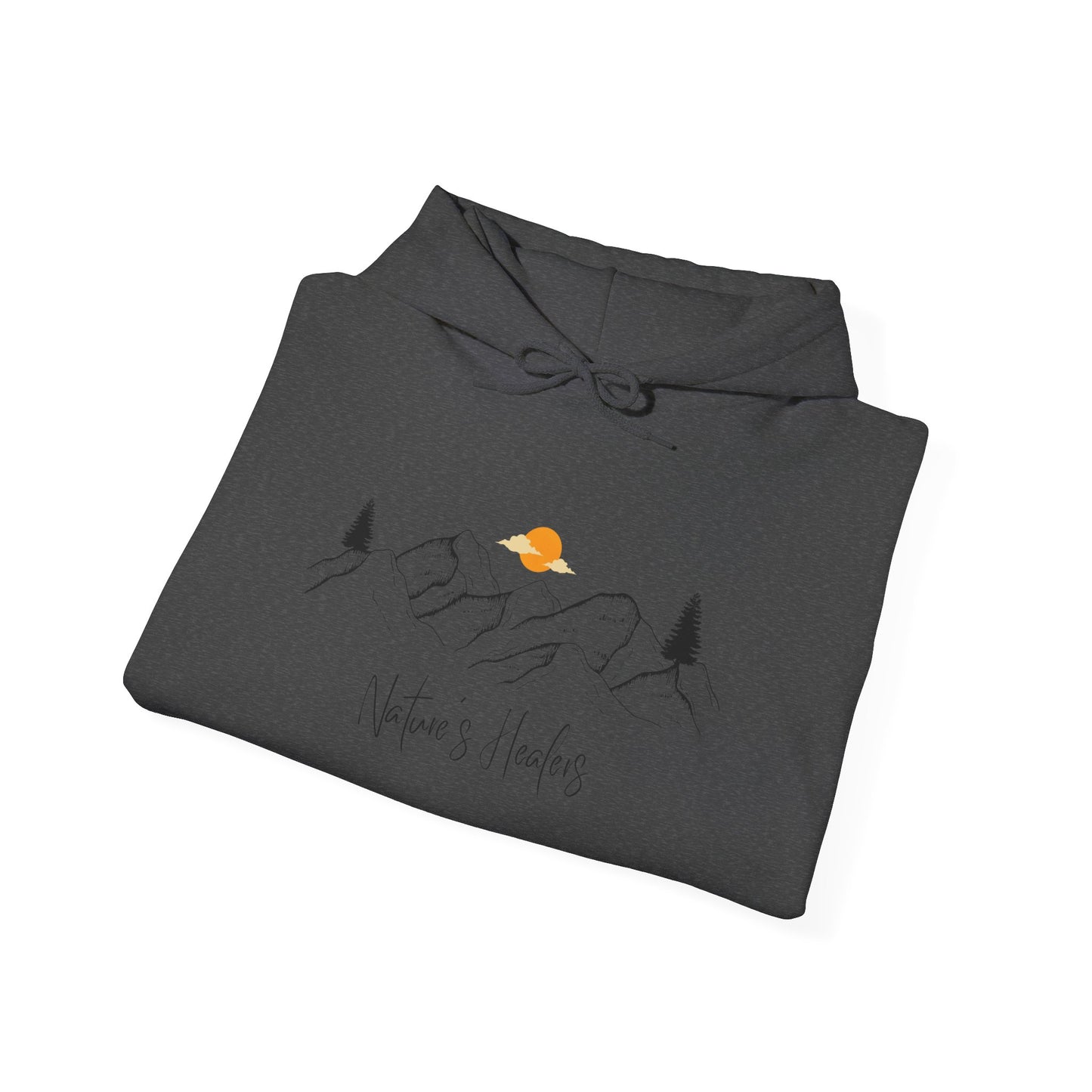 Nature's Healer Mountain Air Hoodie