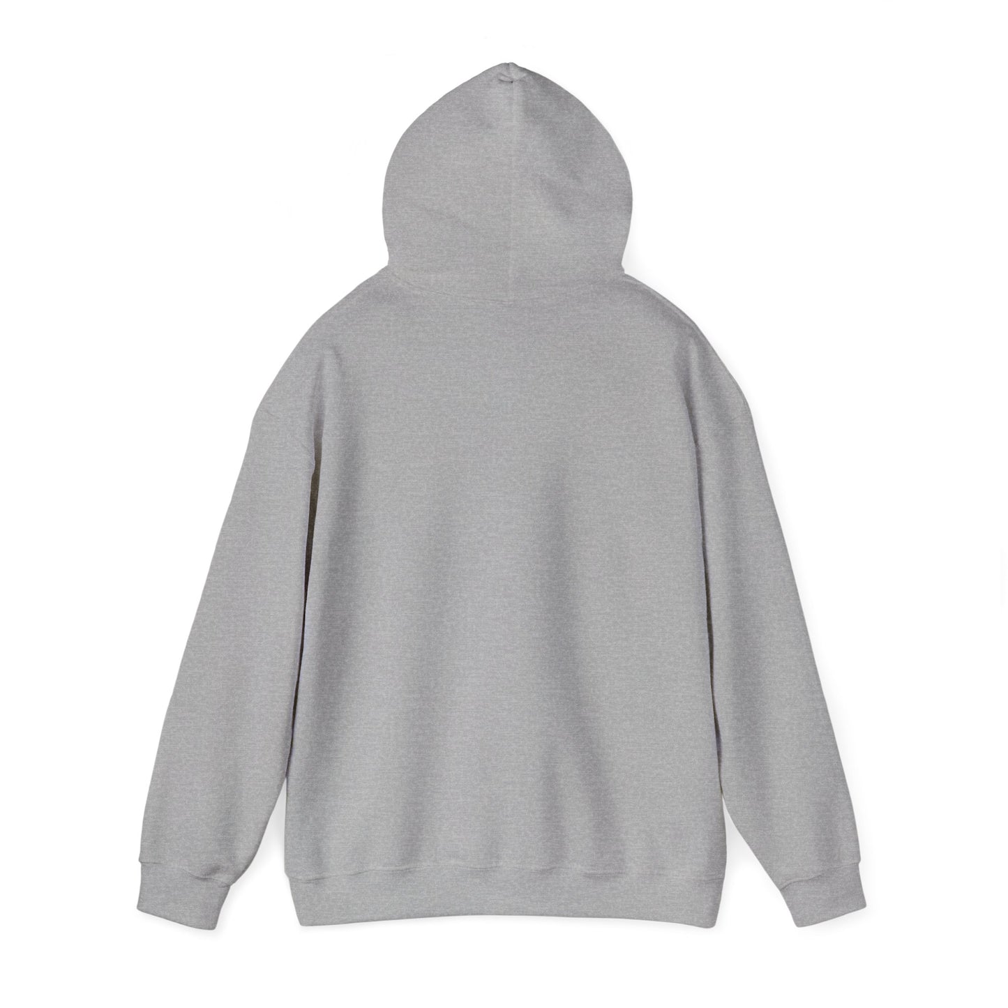Nature's Healer Mountain Air Hoodie