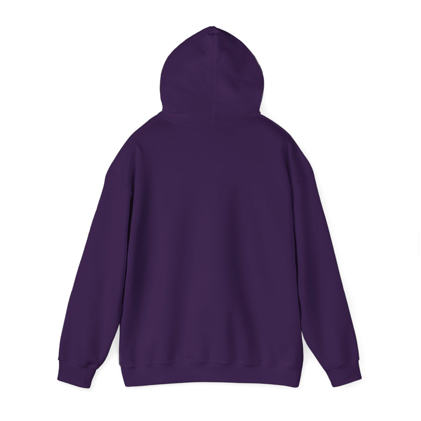 Nature's Healers Unisex Heavy Blend™ Hooded Sweatshirt - Sunshine and Waves