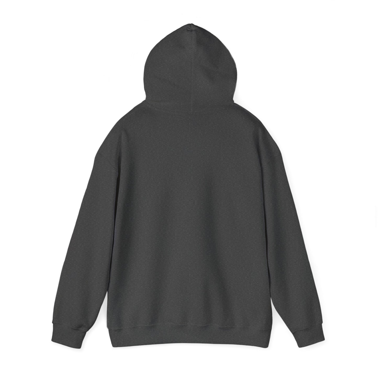 Nature's Healers Unisex Heavy Blend™ Hooded Sweatshirt - Sunshine and Waves