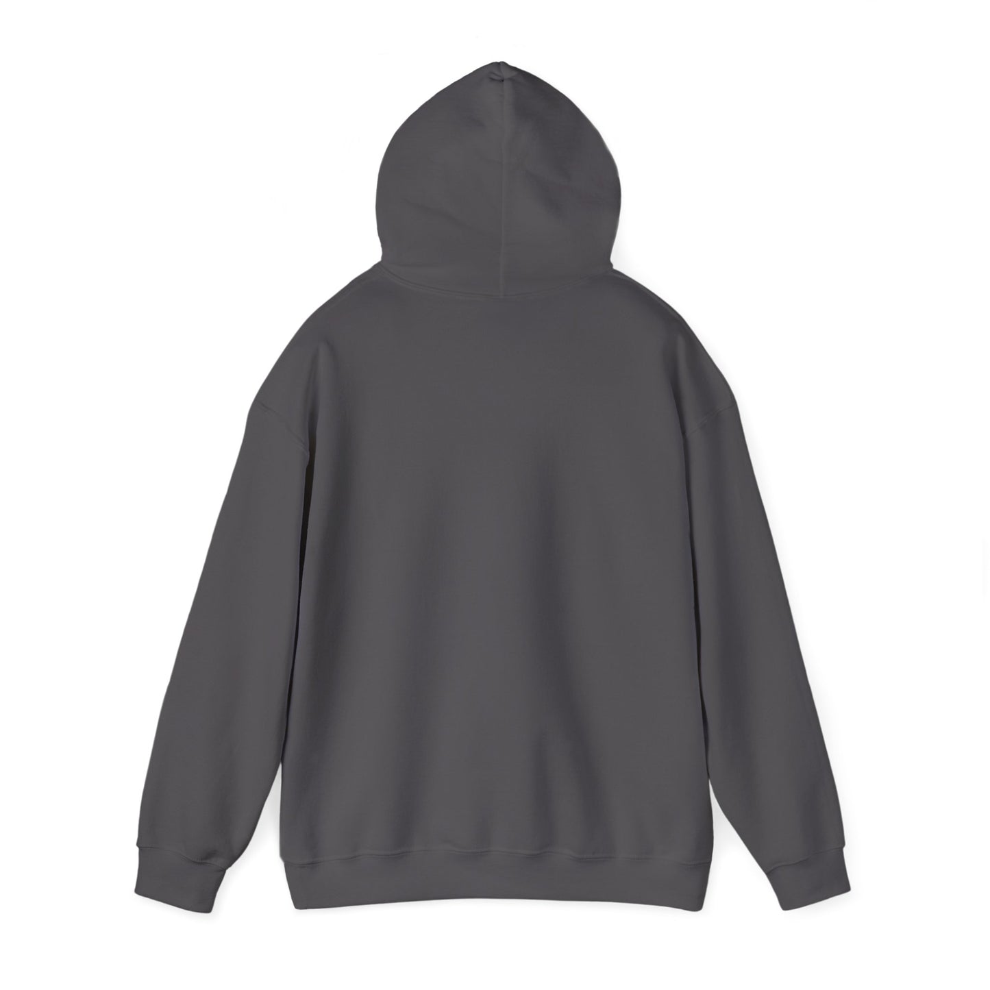 Nature's Healers Unisex Heavy Blend™ Hooded Sweatshirt - Sunshine and Waves